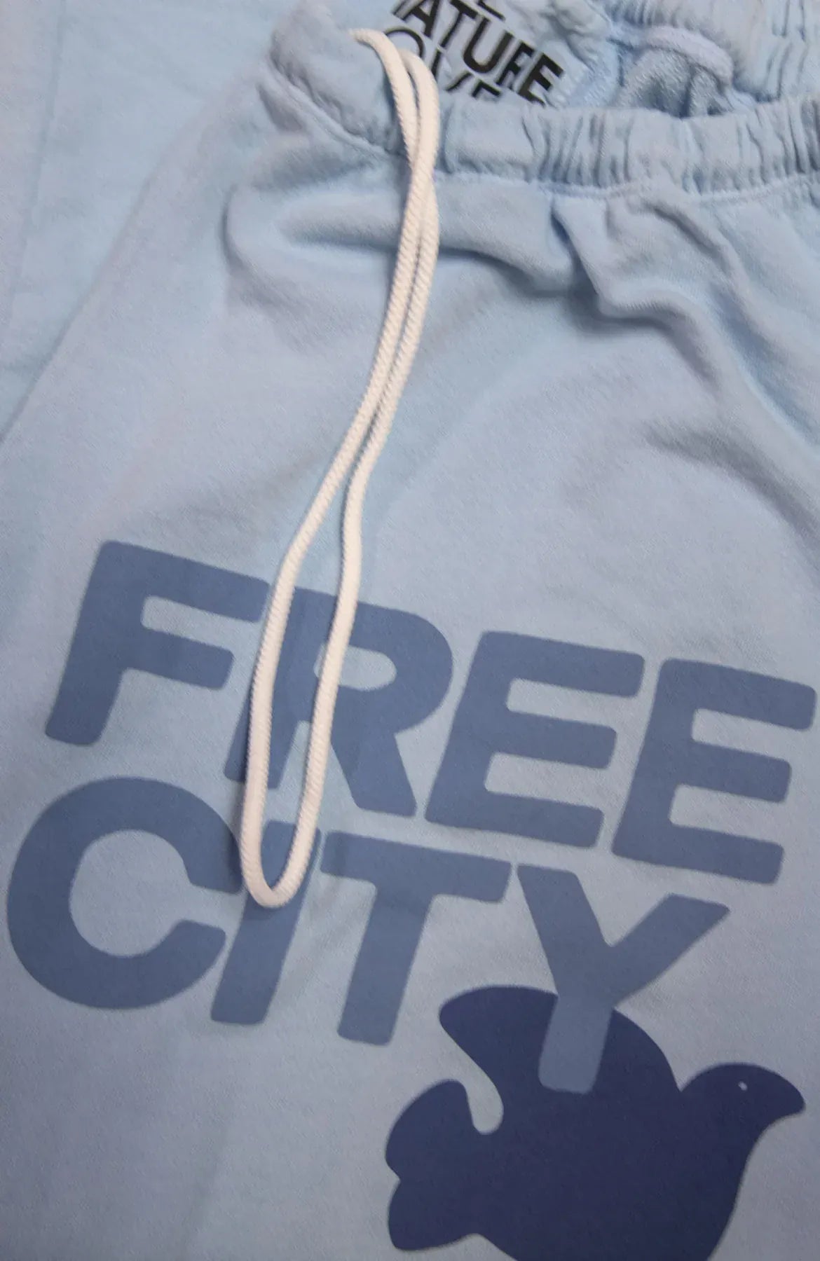 FREECITY Sweaters Freecity - Large Sweatpant in Blue Ice