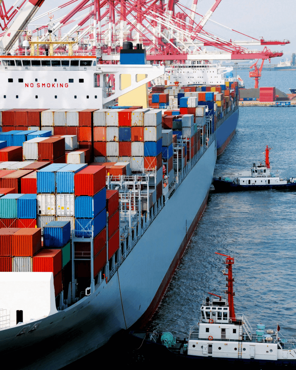 Basicality Shipping