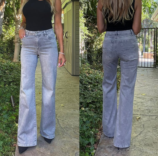 Bevy Flog Pants Bevy Flog - Orel Pant in Gray sky denim