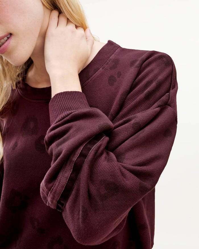 Splendid sweatshirt pullover cheap