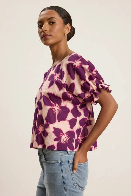 Velvet Tops Velvet - Delilah top in Berry